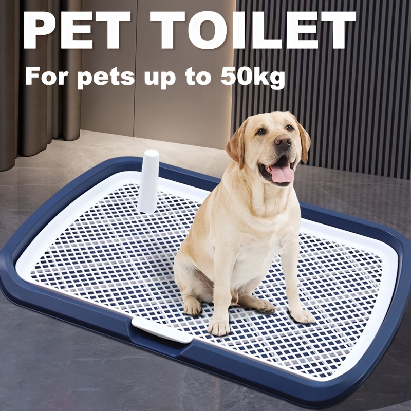 Dog Potty Training Toilet, Pla - Bench Dog Hole 리뷰 및 가격
